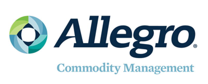 Partnerlogo Allegro